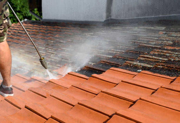 Best Pressure Washing Company Near Me  in Bellevue, WI
