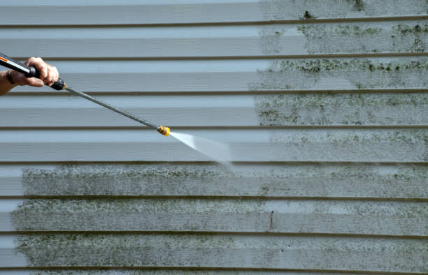 Best Affordable Power Washing  in Bellevue, WI