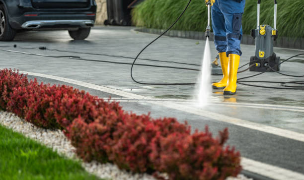 Best Roof Pressure Washing  in Bellevue, WI