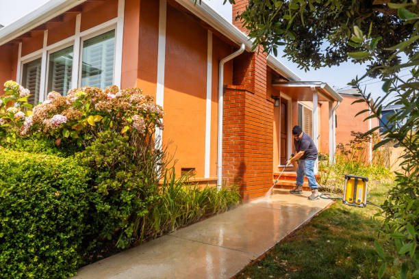 Best Exterior Home Cleaning  in Bellevue, WI