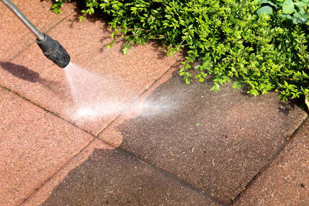 Best Power Washing Near Me  in Bellevue, WI